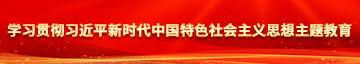 男人插女人逼的黄色视频学习贯彻习近平新时代中国特色社会主义思想主题教育